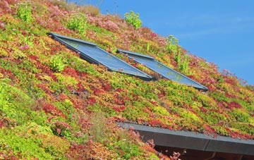 Craigends living roof systems