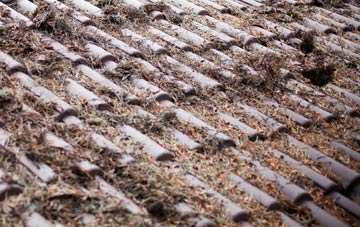 Craigends roof cleaning companies